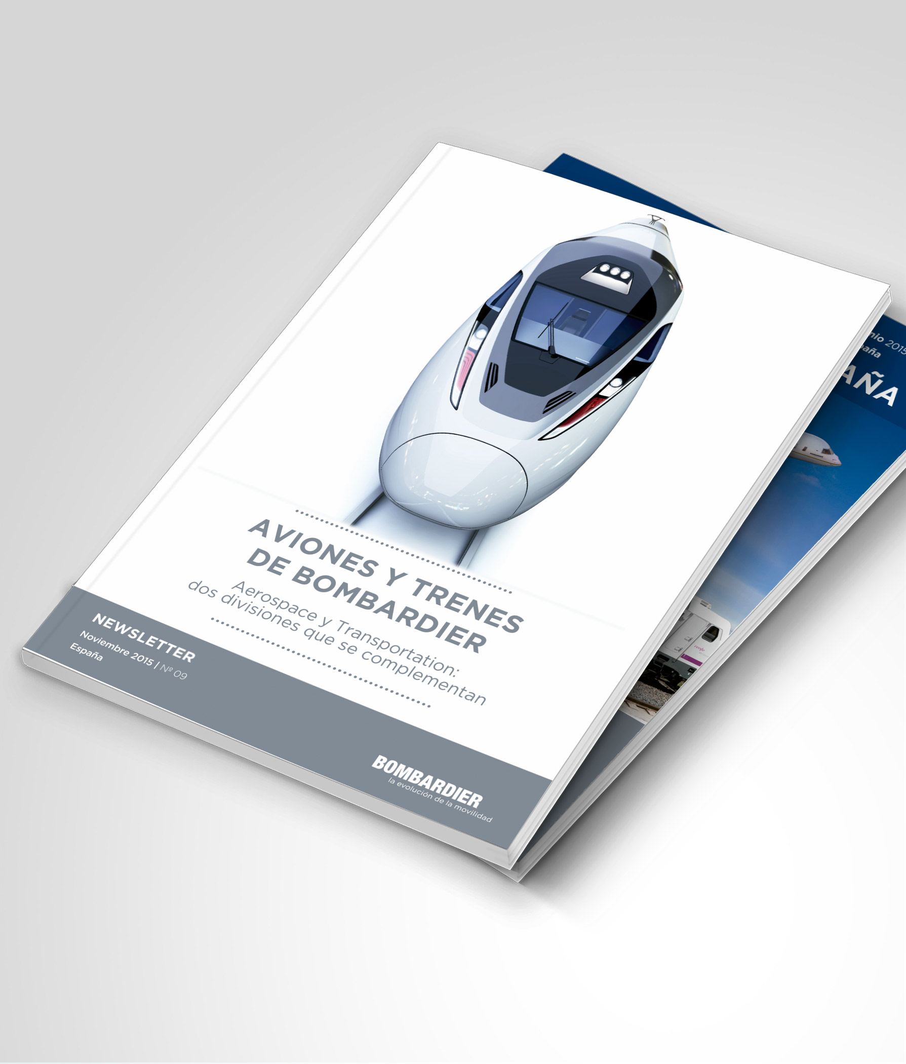Diseño newletter